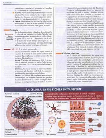 Esempio di pagina con box immagine.